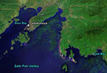Дайвинг в Приморье: Владивосток, остров Русский
